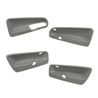 Coverlay - Coverlay 17-97C-MGR Door Panel Insert - Image 1